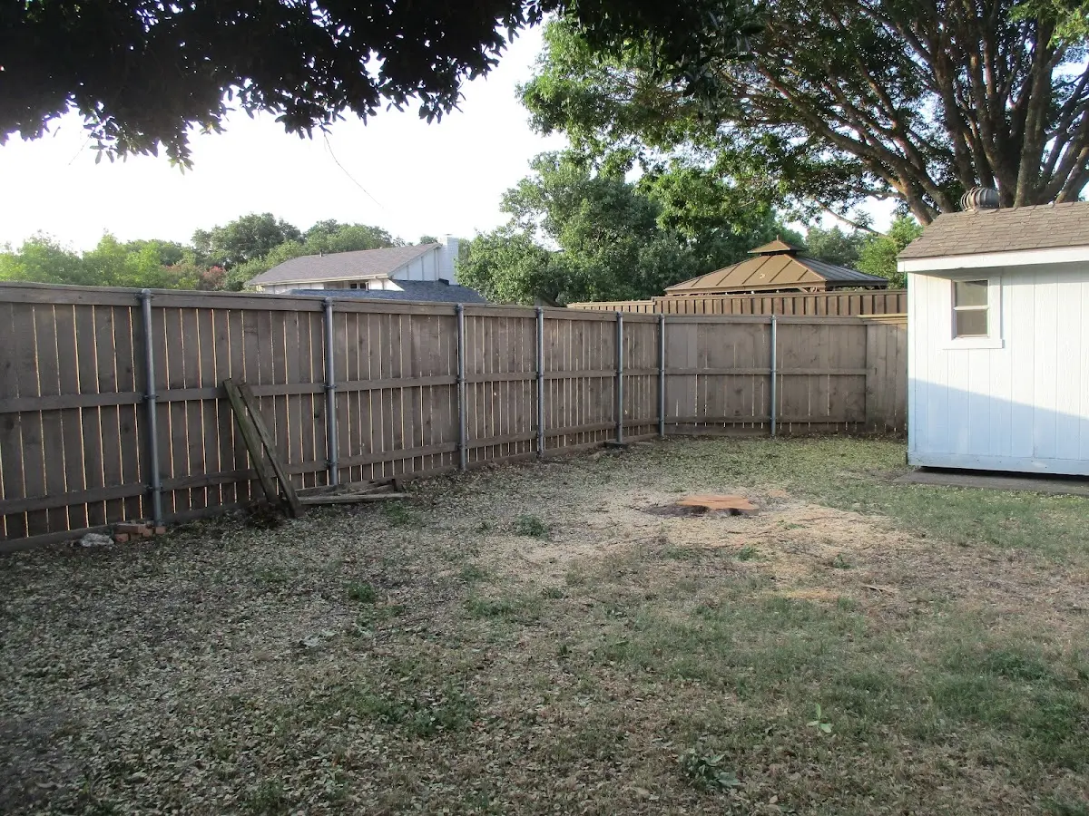 Cleared yard after professional tree removal in Collinston